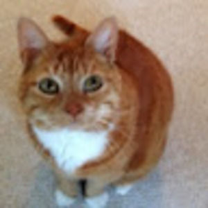 Meet your Posher, Terry